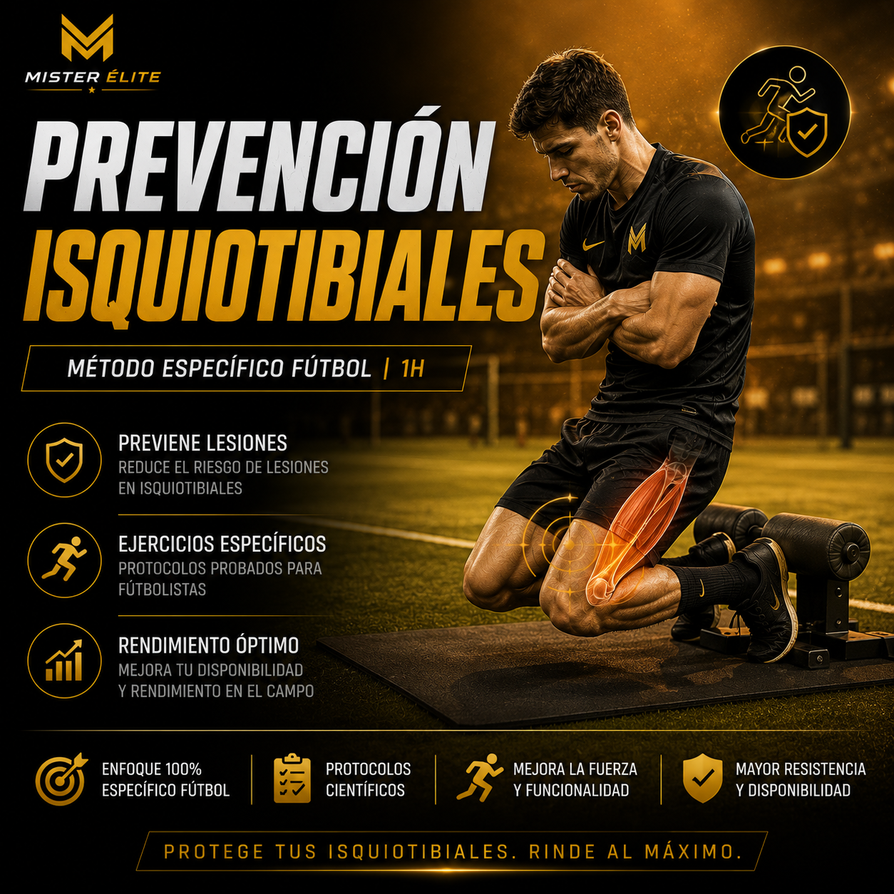 ISQUITIBIALES