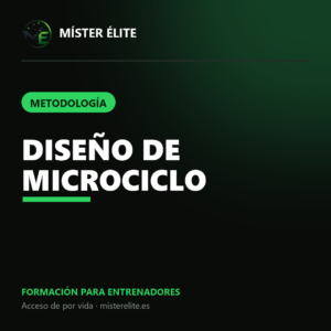 Diseño de Microciclo