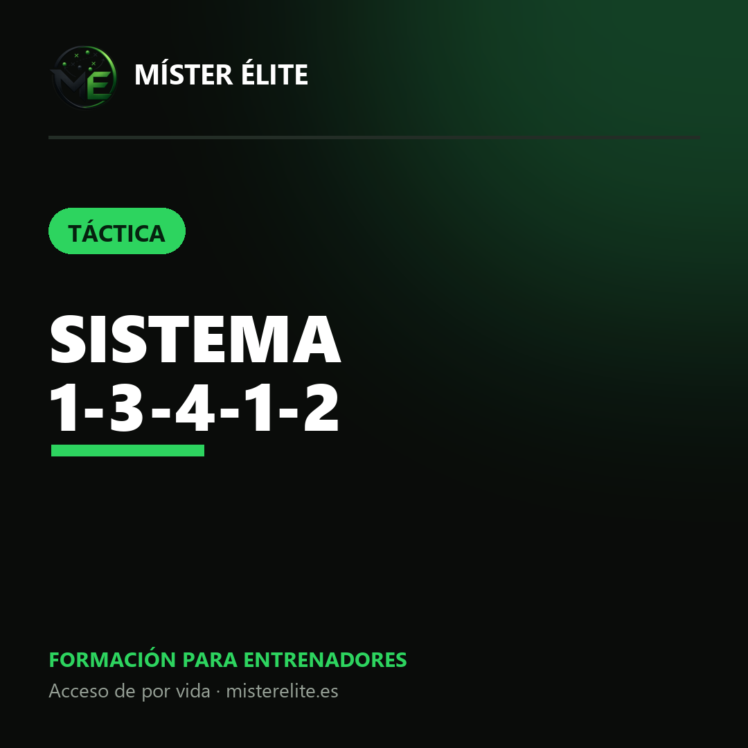 Sistema 1-3-4-1-2